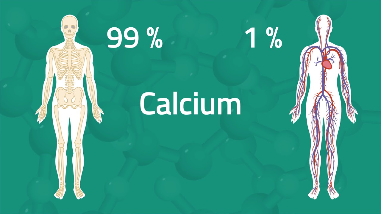 Everything You Need to Know: Calcium Test - YouTube