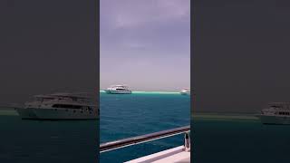 Snorkeling Day Trip to White Island & Ras Mohammed with by Boat in Sharm El Sheikh | Sun Tours Egypt