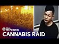 Victims Of Modern Slavery Found In Cannabis Factory Raid | Police Suspect No 1 | Real Responders