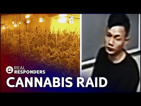 VICTIMS OF MODERN SLAVERY FOUND IN CANNABIS FACTORY RAID | POLICE SUSPECT NO 1 | REAL RESPONDERS