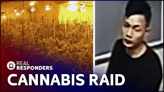 Victims Of Modern Slavery Found In Cannabis Factory Raid | Police Suspect No 1 | Real Responders