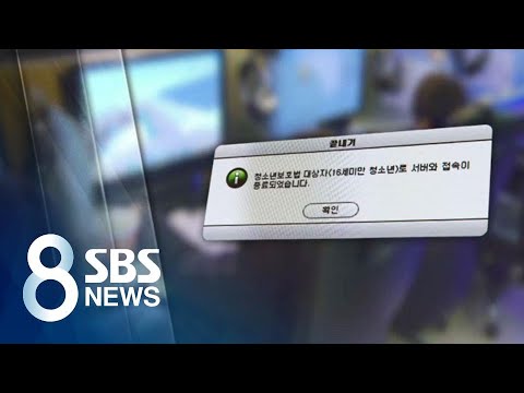 '게임 셧다운제' 완화해 서비스업 활력…부모들은 걱정 / SBS