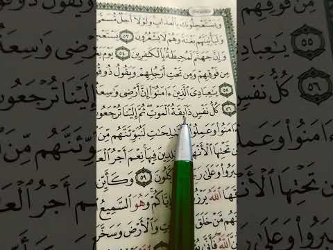 سورة العنكبوت الشيخ عبدالرحمن مسعد اجمل صوت في العالم تصميم فيديو قرآن كريم