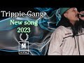 Manish remix 100 trippie  gang new song 2023 