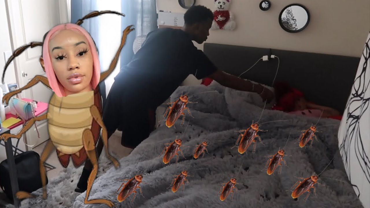 ROACHES IN BED PRANK ON HALI *She Cries - YouTube