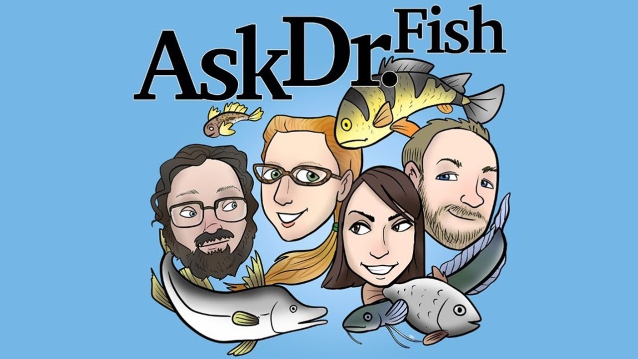 Ask Dr. Fish Live Stream