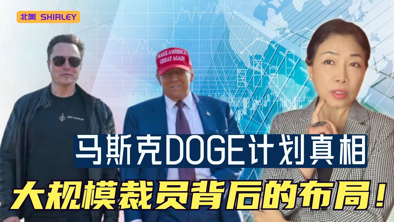 马斯克的DOGE计划曝光！一场豪赌？🔥🔥🔥