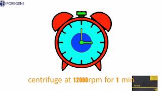 How to isolation total RNA from cells within 11 minutes:the operation guide