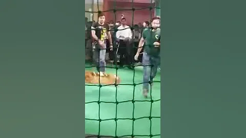 Sundar Pichai playing Cricket at Google Office