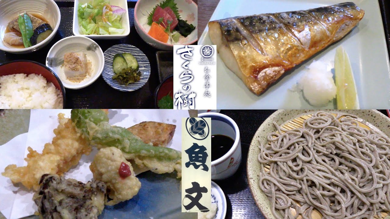 JR佐倉駅『お食事処 さくらの樹』焼き魚／煮魚／お刺身 三品定食 ⇨『魚文（うおぶん）』十割そば、ハモの梅肉のせ天：駅近にある人気の和食屋さんと昭和の佇まいがシブい十割そば専門店