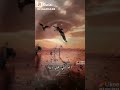 آه وألف آه وآه من غدر البشر انه يألم الروح ويتعب القلب أخ يازمان العبر 