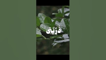 القارئ علي جابر #viralvideo #القرآن_الكريم #اكسبلور #ايات_قرانيه_قصيره #راحة_نفسية #قرآن #subscribe