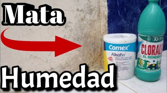 Como quitar el MOHO de pared FÁCILMENTE y olvidarse 