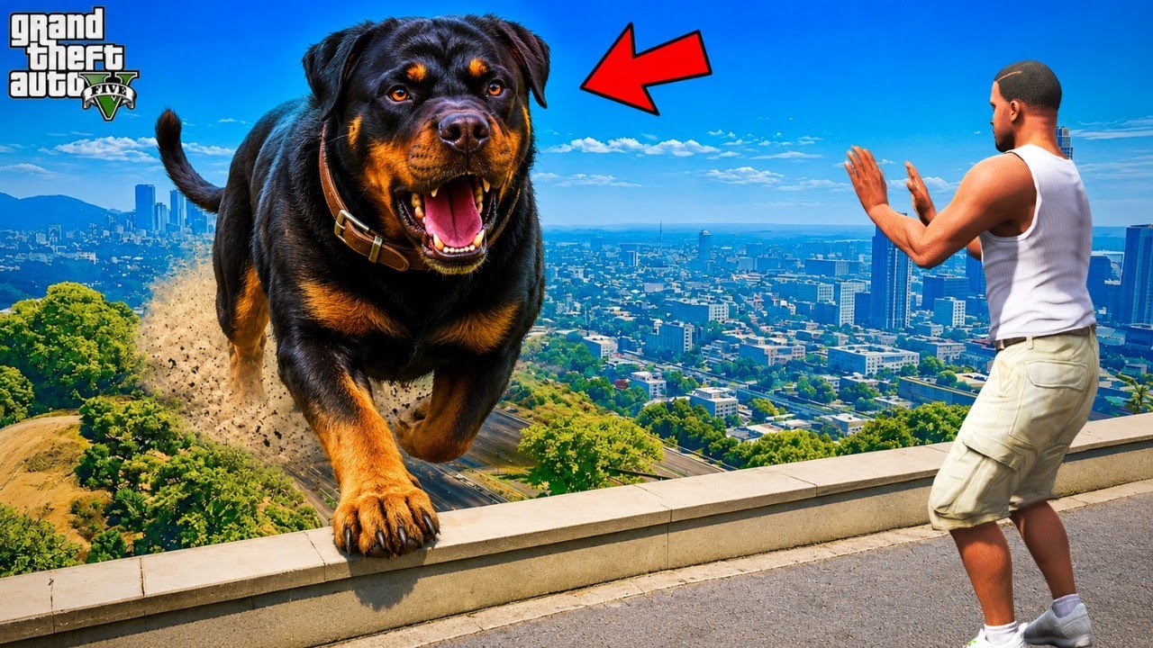 Franklin Found The World's Biggest CHOP in GTA 5