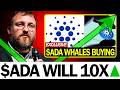 Cardano Price About To Explode? Whale Activity Says Yes