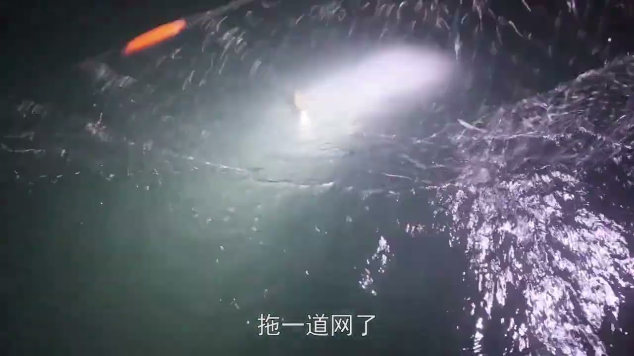 【老四赶海的作品】老四出海撞大运了，今天不爆桶直接爆大筐了，上岸跟外...