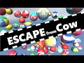 Escape from cow country marble race