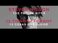 Steven WIlson - 12 THINGS I FORGOT (Subtítulos ESPAÑOL - INGLÉS)
