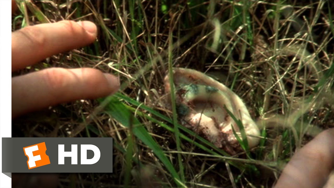 Blue Velvet (1/11) Movie CLIP That's a Human Ear (1986) HD YouTube