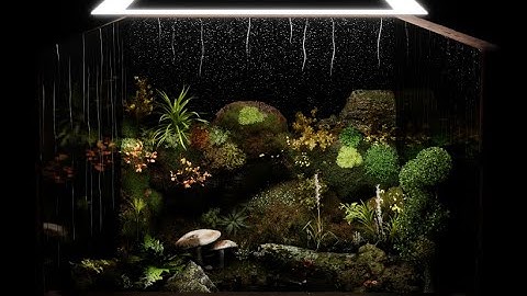 Terrarium | UE5