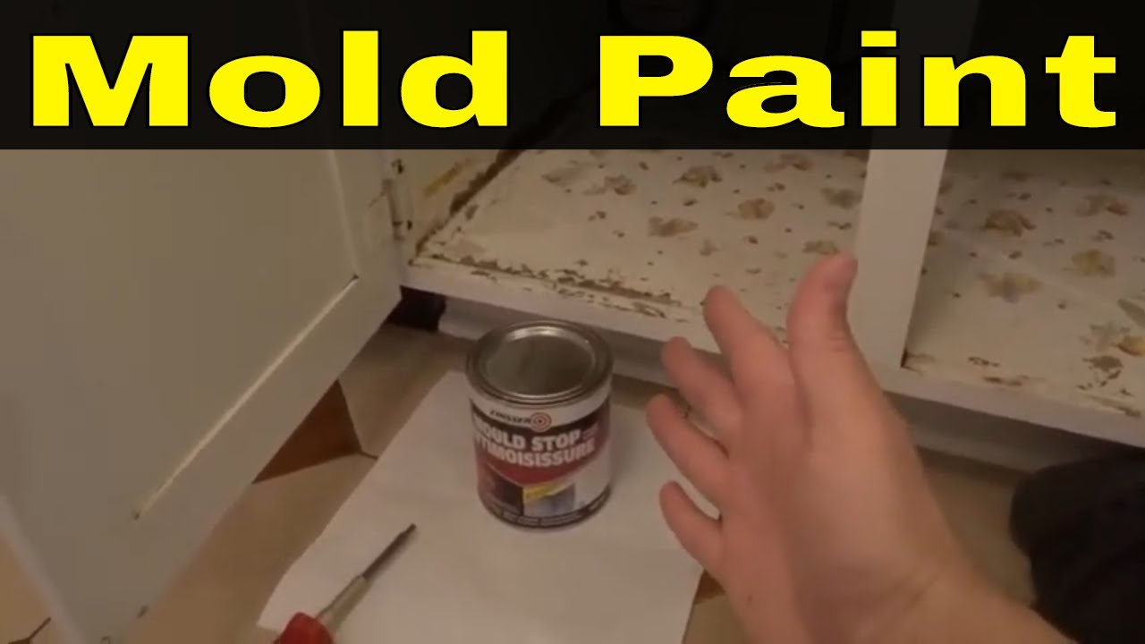 Painting Over Black Mold With Mold PaintCover Up The Stain YouTube
