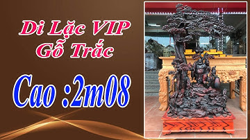 Tượng Di Lặc Dưới Gốc Tùng Gỗ Trắc VIP cao 2m08 - ĐỒ GỖ VĂN SÁU