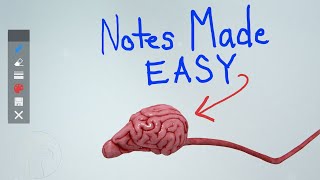 How to Take Better Canine Anatomy Study Notes | EasyAnatomy Annotations screenshot 5