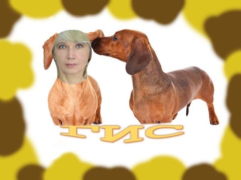 Лекция №1 по ГИС. 08.02.2021