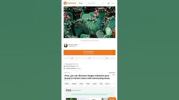 How to Use Vecteezy to Create Your Brand