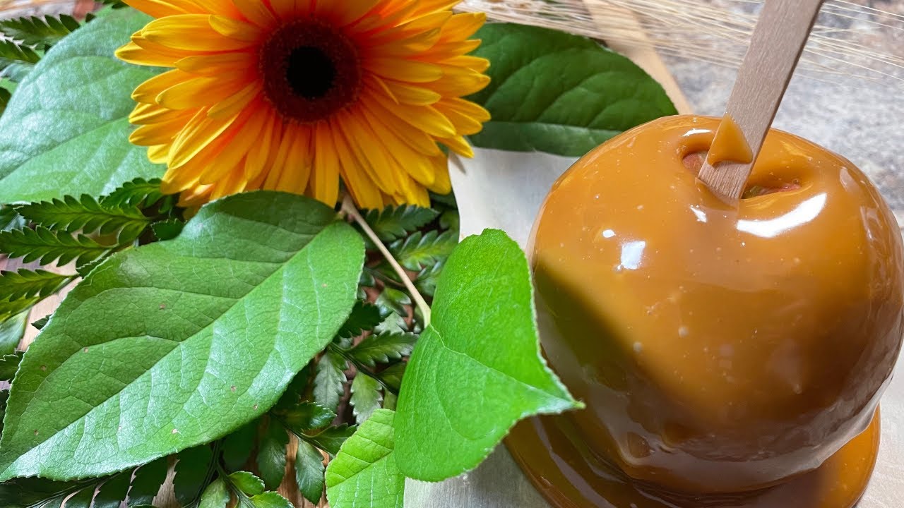 BEST CARAMEL APPLES YouTube