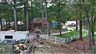 Goldys Yard 524Pm Uncle Bud Drives Away 525Pm Cargoaties Paddock 9292024