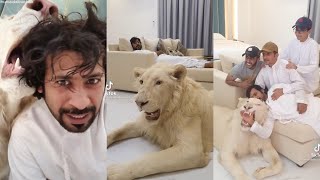 TikTok Dubai Humaid Albuqaish With His Pets Video