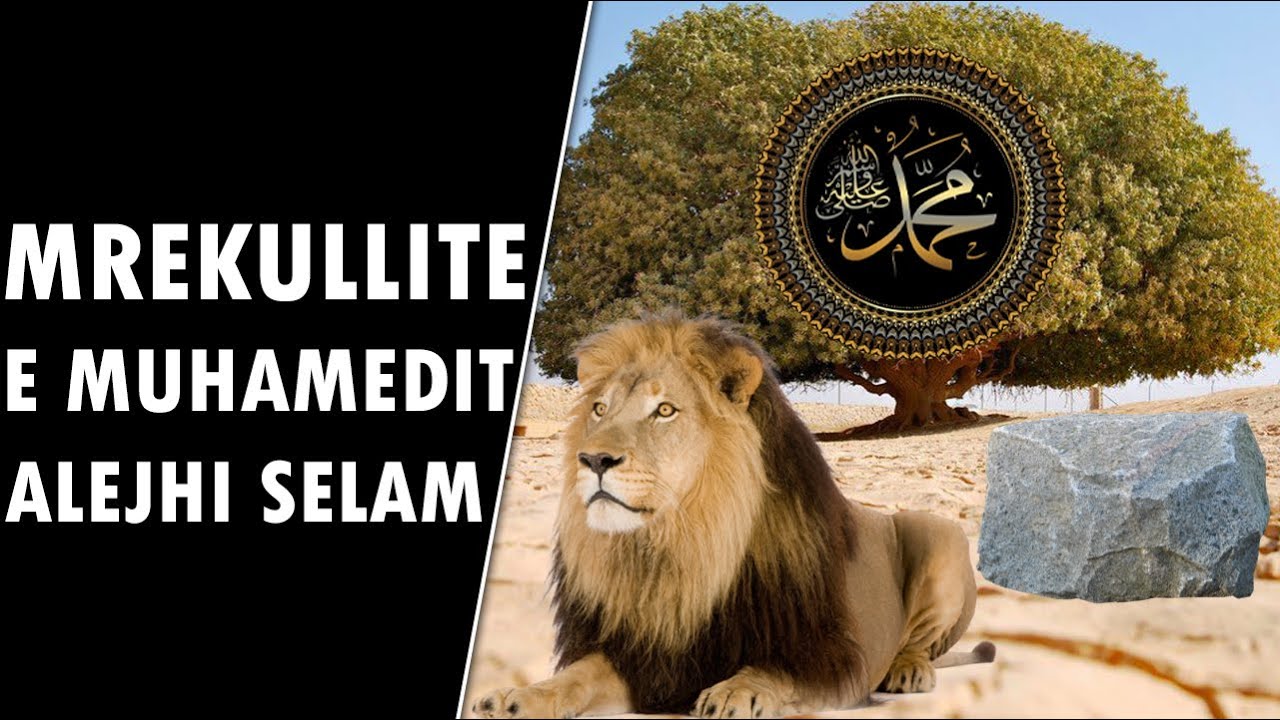 5 mrekullite mahnitese te Profetit a.s Pema qe eci dhe qau, guri qe foli dhe Luani i eger qe u zbut!