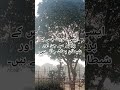 قران کی ایسی سورۃ جو جن اور شیطان کو بھگا دے گھر سے Quran Bayanstatus Bayan قران کی ایسی سورۃ جو جن اور شیطان کو بھگا دے گھر سے Quran Bayanstatus Bayan