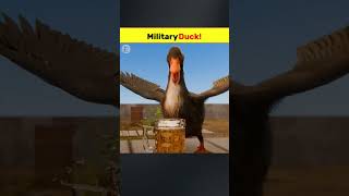 Duck Soldier Ki True Story 😳 | Military Mein Join Karne Wali Baatakh 🦆 |#facts  #shorts