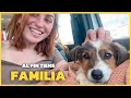 Rescatamos a una perrita en el Sáhara y ahora tiene una familia en España 🐶💚