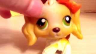 Audition For MelodyLPSTV's Lps Collab Channel. Hope You have a fun time!