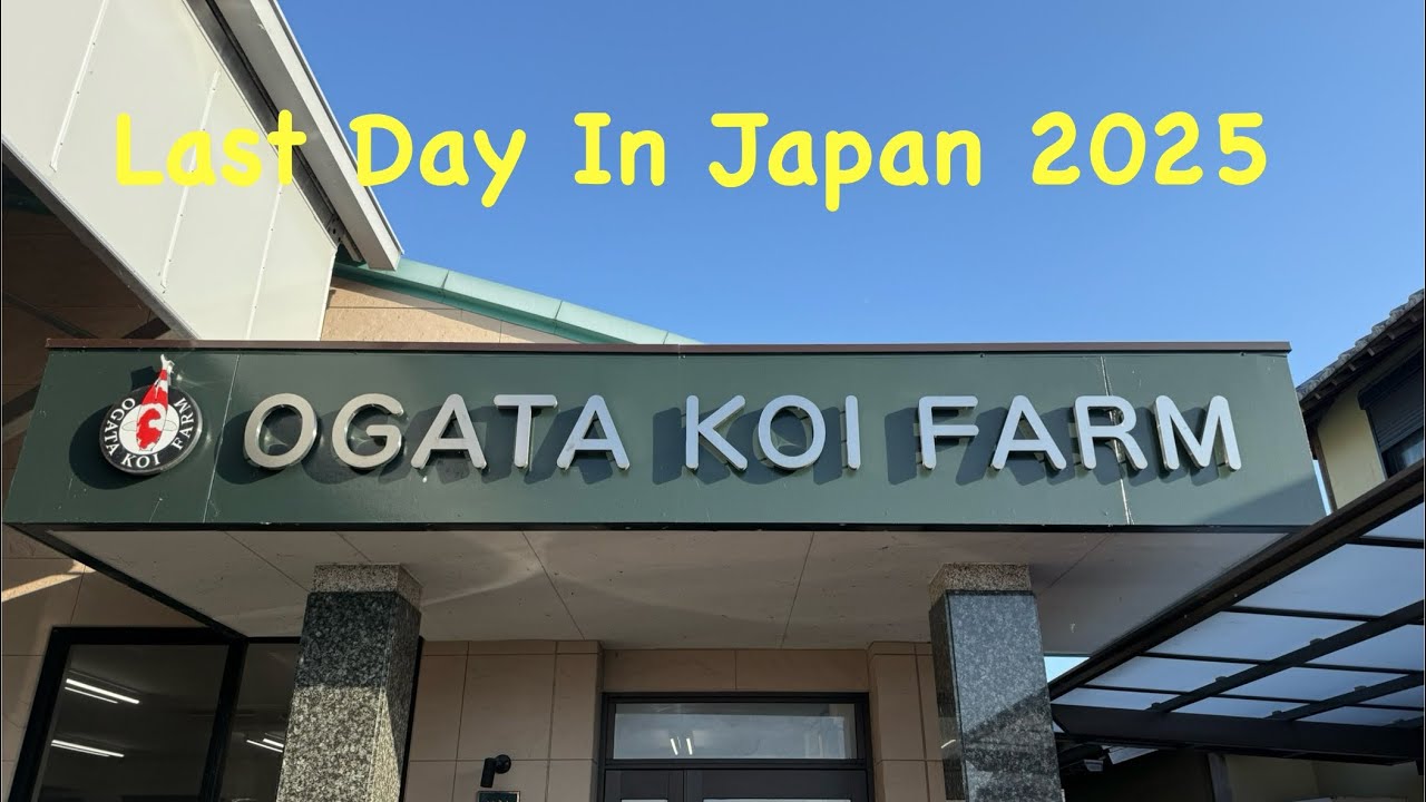 Ферма кои Огата | Сиро Уцури | Будо Горомо | Штаб-квартира Тосай | Совершенно новый рыбный дом