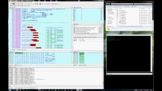 Reverse Engineering with IDA - Password bypass