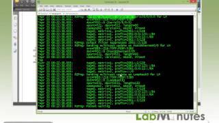 LabMinutes# RS0039 - Cisco IPv6 RIPng