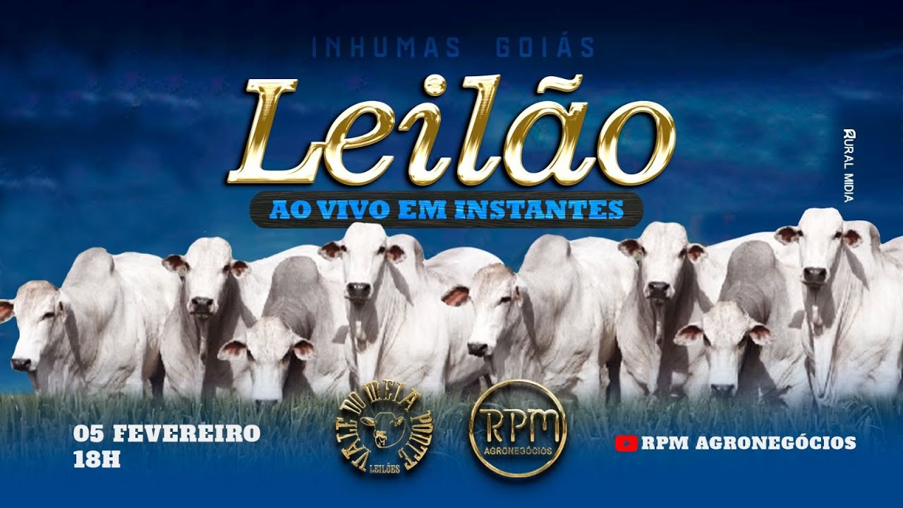 VALE DO MEIA PONTE LEILÕES - INHUMAS - LEILÃO VIRTUAL E PRESENCIAL - 05 DE FEVEREIRO DE 2026.