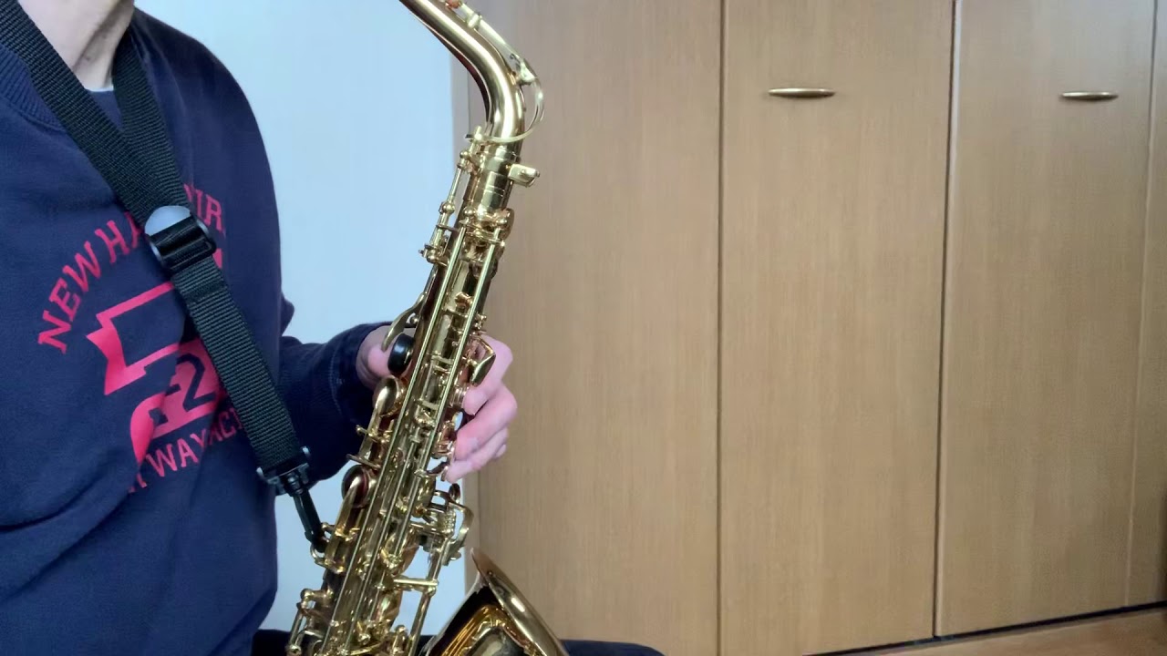 ジャンク Minerva ミネルバ A800 アルトサックス メンテナンス未実施