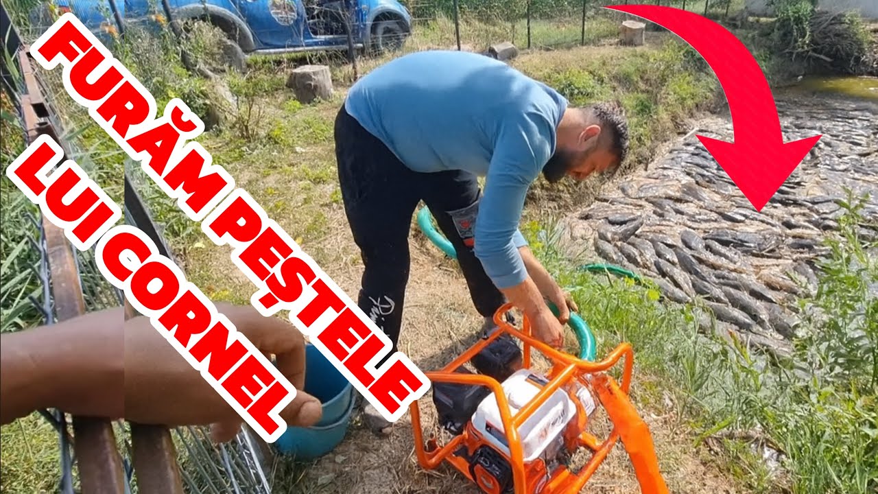 Video Special !! Furam peștele lui Cornel din lac !! 