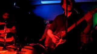 Watch Circulatory System The Lovely Universe video
