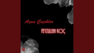 Tez Gel Abdulbaki'ye — Feyzullah Koç kapak görseli