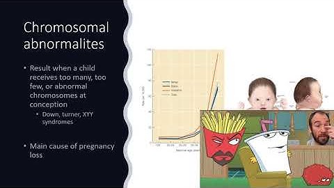 Chapter 3--Genes, Environment, and Development