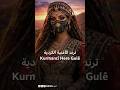 أغنية كردية تغزو مواقع التواصل والبطل الذكاء الاصطناعي 