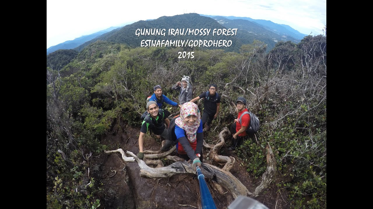 Gunung Irau/Mossy Forest/Cameron Highland/EstijaFamily ...