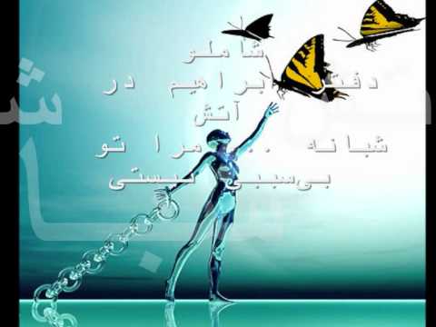      شاملو دفتر ابراهیم در آتش شبانه