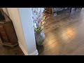 VLM carpet wood floors by Granbury Carpet Cleaning